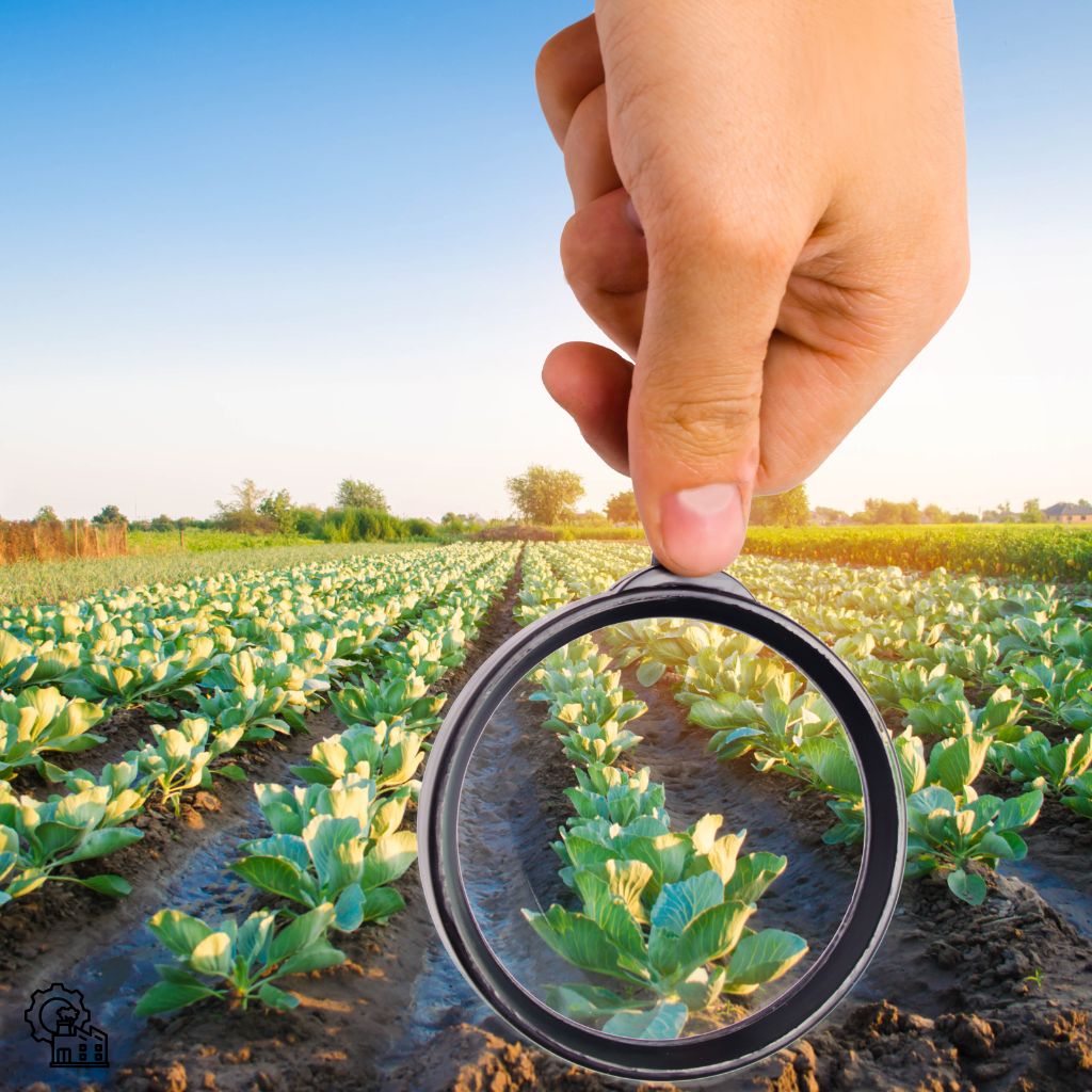 Agriculture and Food Sector